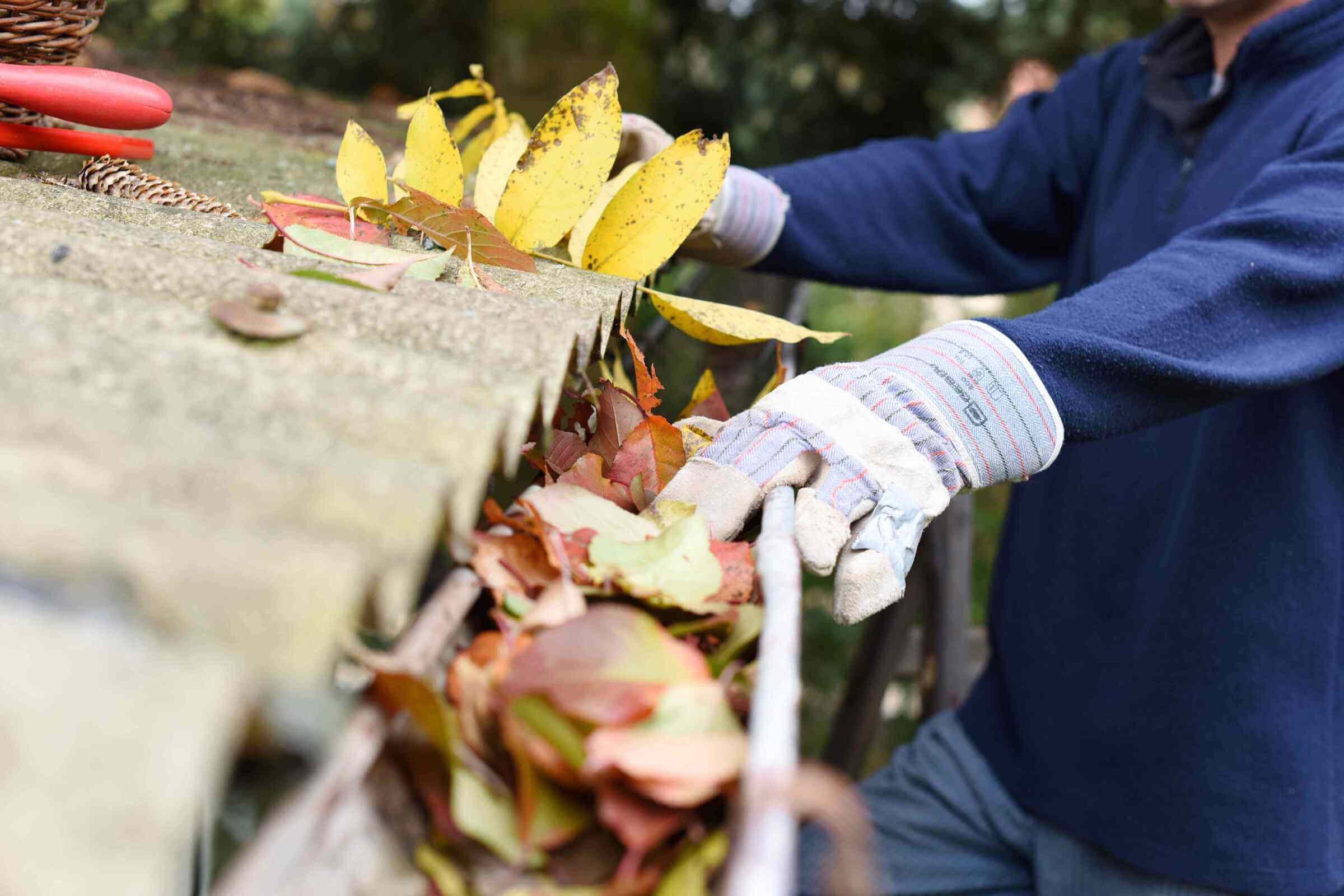 Roof and Gutter Cleaning