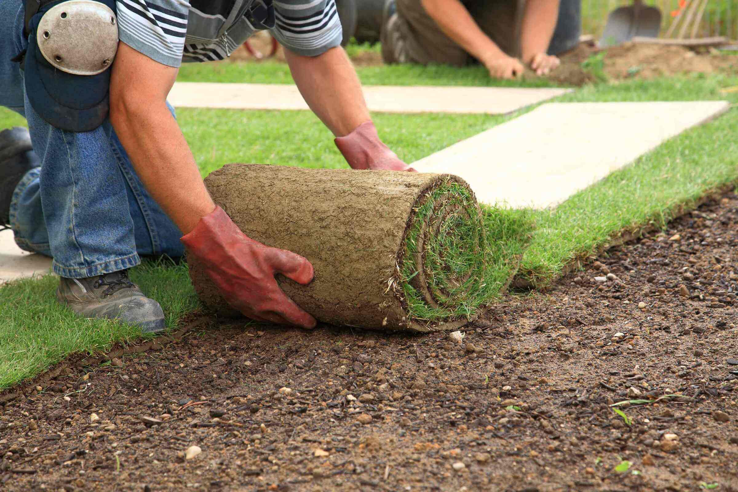 Landscaping - Garden Maintenance